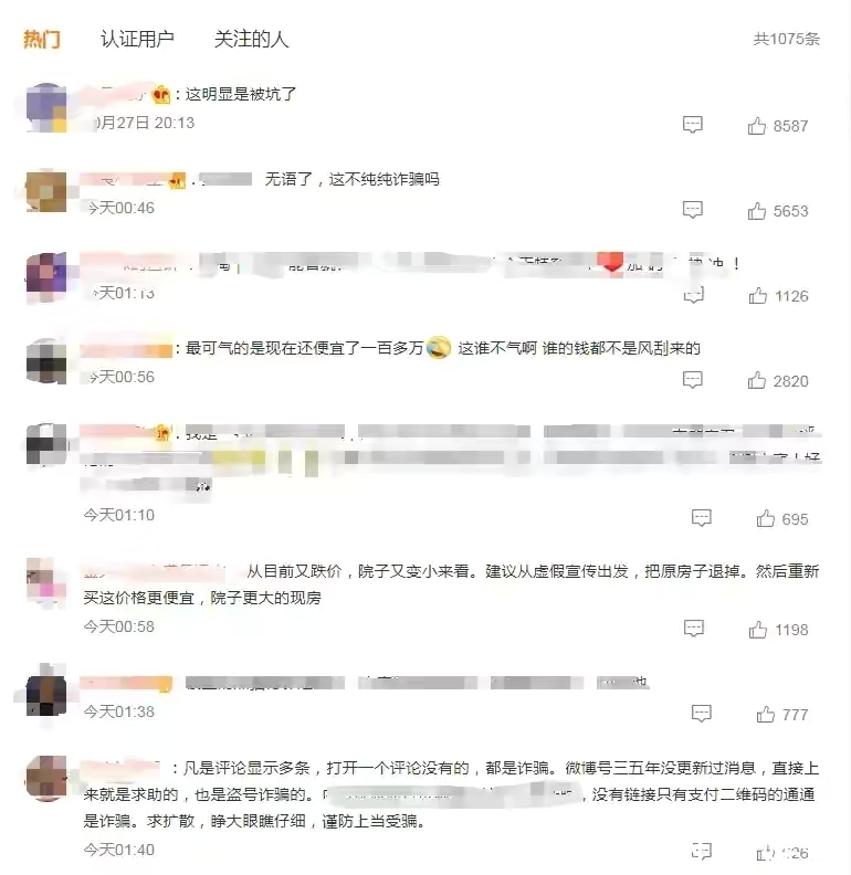 大院子|花540万买房到手后大院子变过道