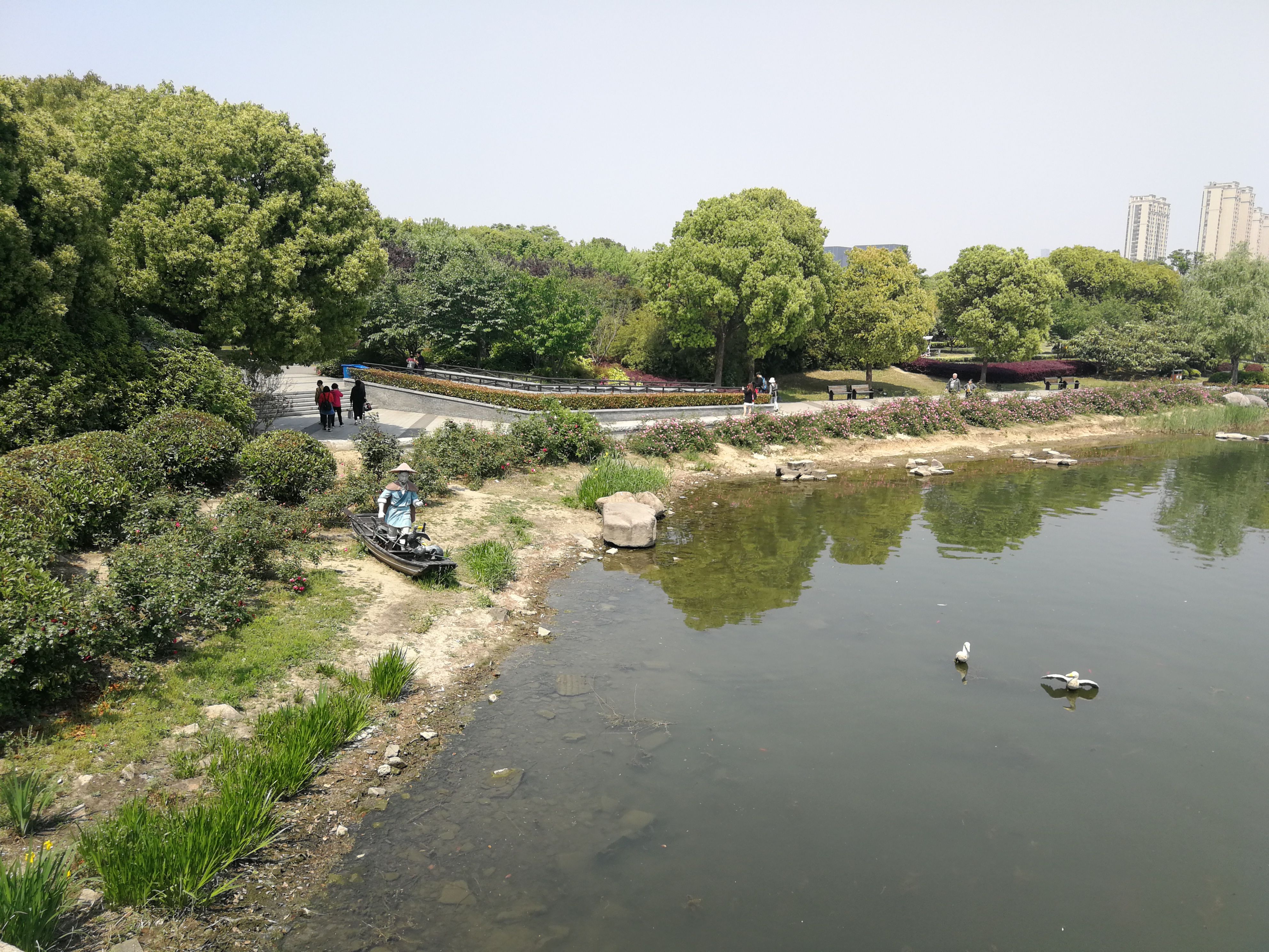 踏上观湖路的拱桥，终于成为别人眼中的风景