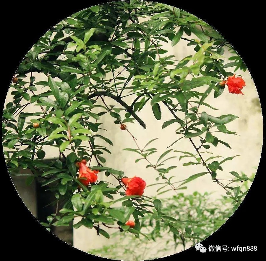 击壤歌#最早的古诗,流传了4000年,开头2句成千古名句,几乎人人会背