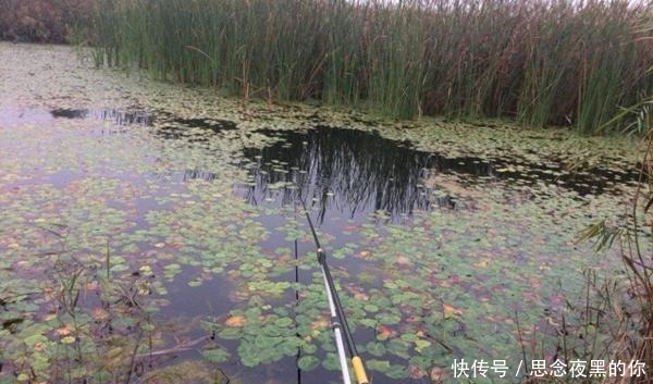 野钓老扑空跟选择钓位有关，这些地方是鱼窝和鱼道，下竿就上鱼