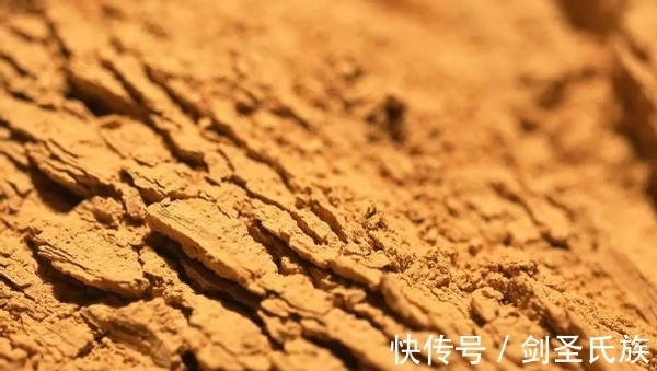 烂根|先弄清这3样土质的“特点”,后续养花配土才不会出错