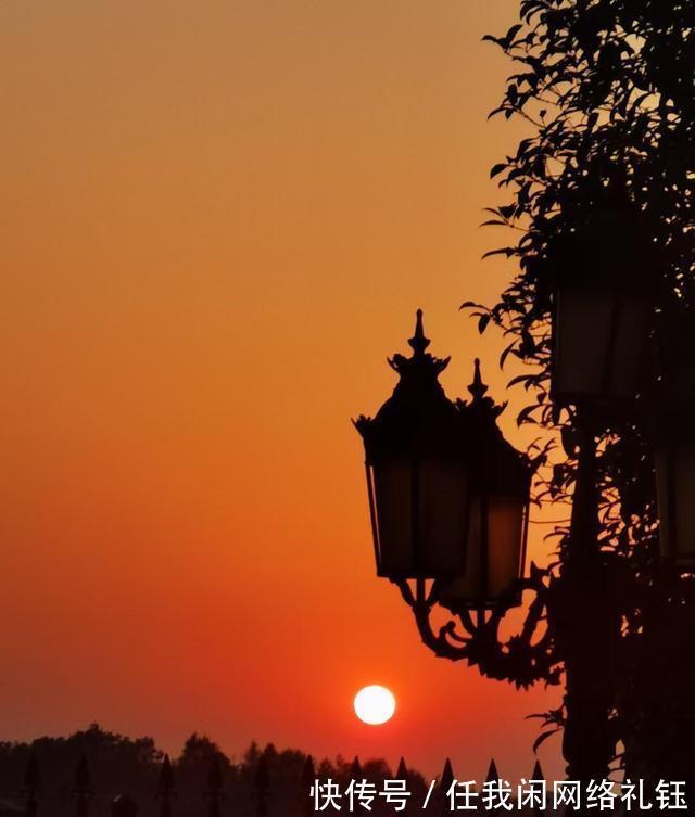 醉夕阳|「七绝·醉夕阳」知秋木叶遍山黄，宠辱偕忘醉夕阳