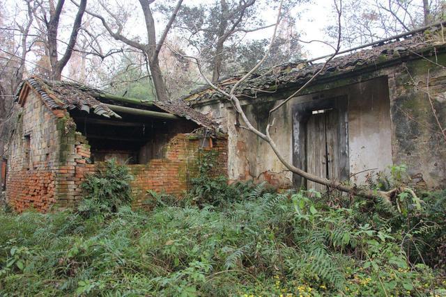 妻离子散|老人说“家中出三、妻离子散”,说的是哪三样你家有吗