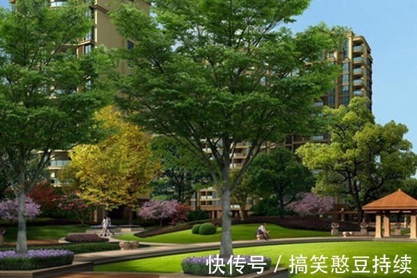 中低层|买电梯房有讲究,这一层才是真正的黄金楼层,聪明人一看就懂了