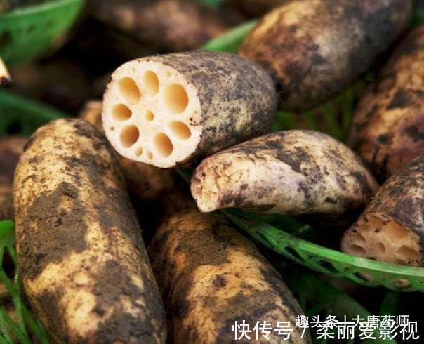 姜枣茶|真正的养生都是最平凡的食材,20个养生专家推荐食疗方,值得借鉴