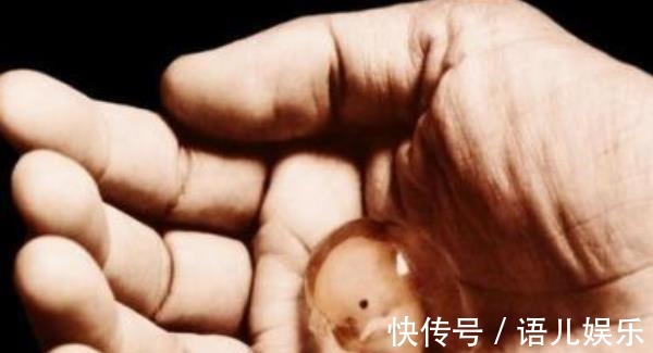 反应|怀孕后,为何有人一直吐,有人却从不吐医生和腹中胎儿有关