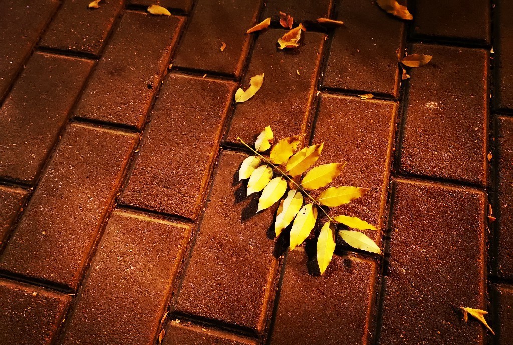 用户|“双十一”2021:用户有理性的热情,平台是否在理智地扩张?