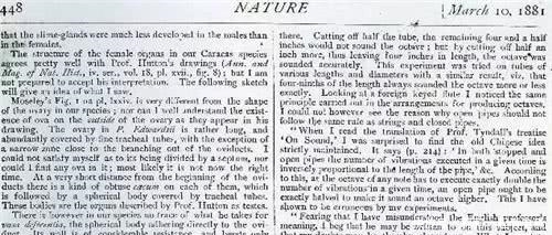 真有穿越事件?此人被怀疑多年,比王莽还像现代人