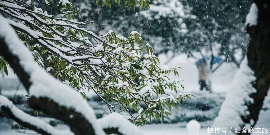 风时的雪花|雪后的中华大地，美哭了世界！