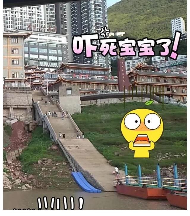 为品牌带货?赵丽颖录《中餐厅》穿羊绒套装,还带了全自动洗衣机