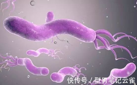 水果|胃病患者需牢记, 这3种水果, 即使喜欢也少吃, 有助修复胃黏膜