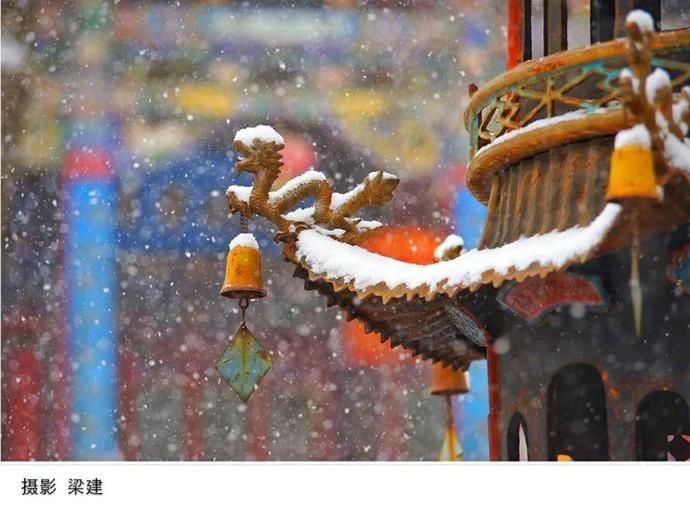 卧龙|在卧龙寺，听雪落下的声音