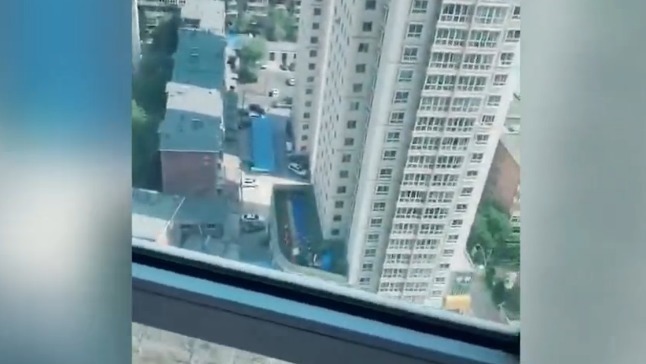 妈妈|孙女上幼儿园后,爷爷每天坐在阳台上,没想到被妈妈发现了小秘密