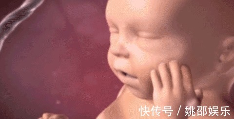 羊水|胎宝在妈妈肚子里无聊不?是时候告诉孕妈真相了,怪可爱的