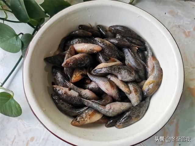 家常|老头鱼东北家常做法，东北特色农家菜，酱香味浓，下酒下饭都不错