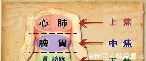 腹部|把这里的“硬结”揉开,中焦打通了,很多病就好了