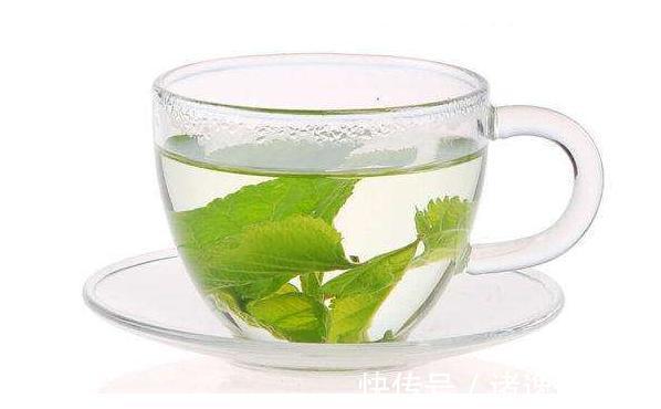 氨基酸|桑叶泡水喝功效作用多，桑叶什么时候采摘好，桑叶泡水注意什么