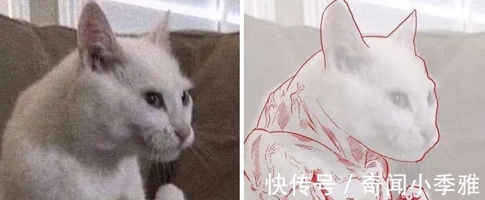 错觉!10个让人产生错觉的照片,被插画家涂抹几笔后,才能看懂