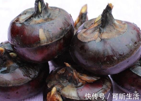 马蹄蒸肉饼|“它”是水果也是药，还能做菜吃，孩子常吃长得快，消化也好