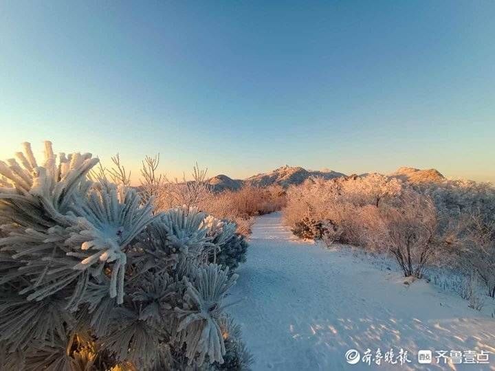 沂山|护林员镜头下的冬日沂山美翻了