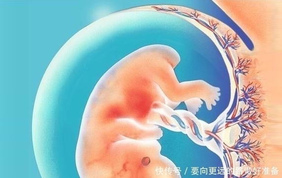 阶段|怀孕这3个阶段,婆婆妈妈最操心,想护胎儿周全,孕妈自己多上心