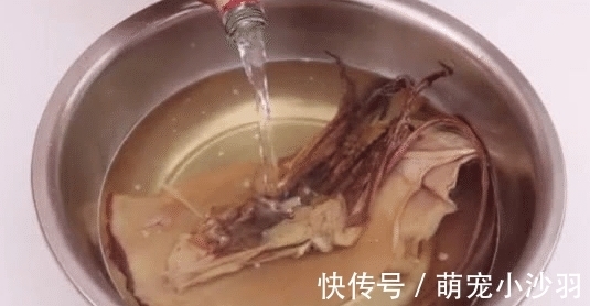 干鱿鱼只会用水泡就错了，老渔民教你一招，干货立马变海鲜！