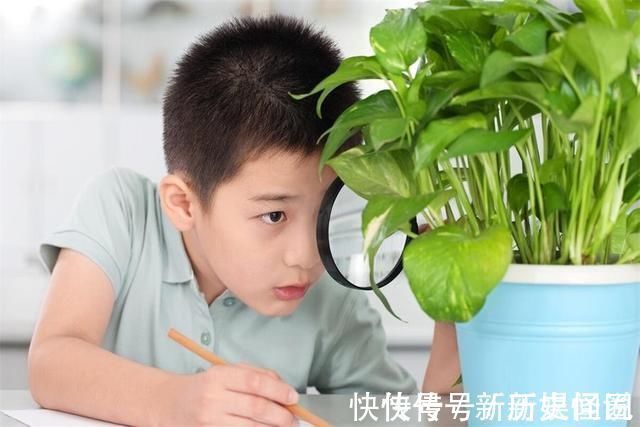 独立能力|别再说“孩子不笨,只是懒!”这懒背后真正的原因,可比笨更致命