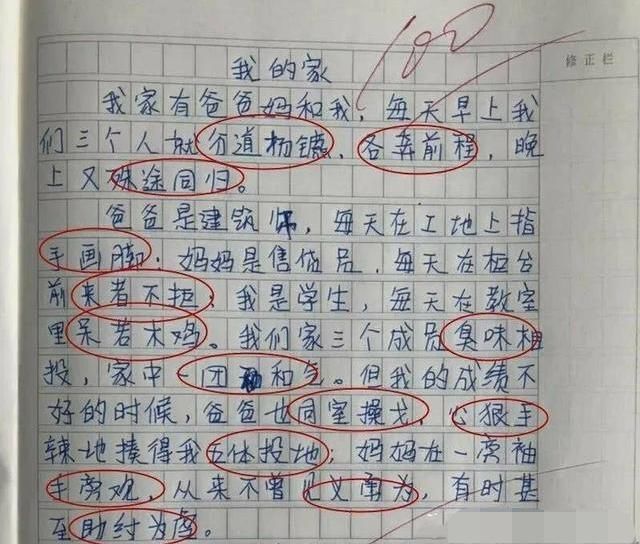 小学生的满分作文火遍网络，全篇用了14组成语，网友：自愧不如