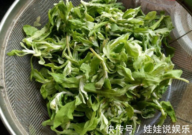 清明|农村田间不起眼的“清明菜”,以前被用来喂猪,排毒还能清血管