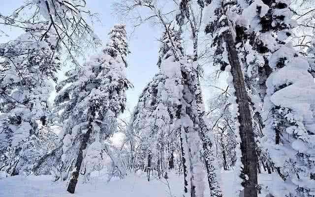 实力|民国土匪“座山雕”的实力究竟有多厉害?原来我们都被骗了