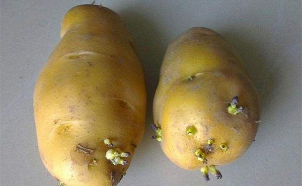 剩菜|转告爸妈:下列8种食物吃不完,宁愿坏掉也别往冰箱里放