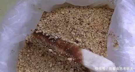 小时|大爷集市卖自制冰棍,开始没人买,只因加了这一步一小时赚200