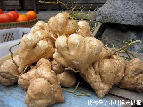 常吃|女性10种食物经常吃,排毒瘦身,滋养皮肤,轻松拥有小蛮腰