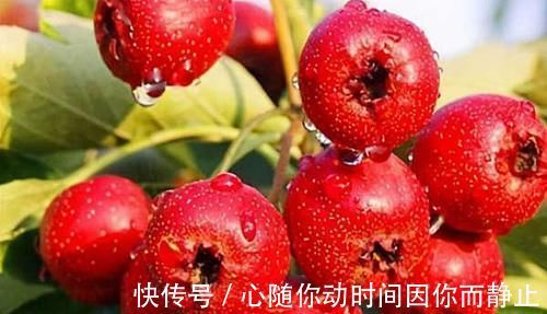 果蔬菜|女性到了中年常吃3种食物，补充营养，延缓衰老，好吃又不贵