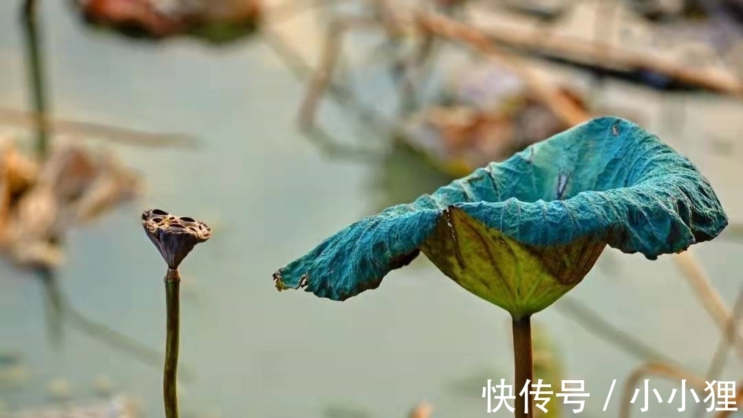 雨声$让李商隐引以为傲的一首诗,连林黛玉都称赞,后两句尤其美妙
