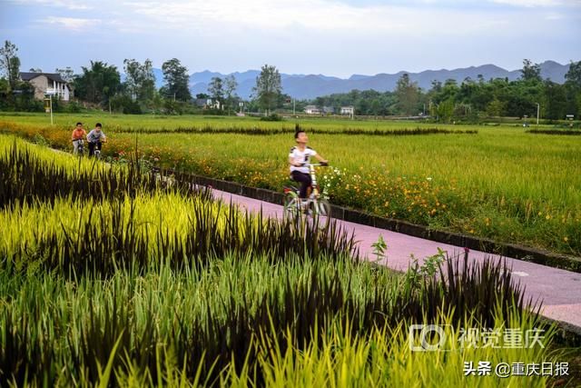 业态|重庆发布夏季乡村休闲旅游精品线路 140条精品线路和661个休闲景点等你来打卡