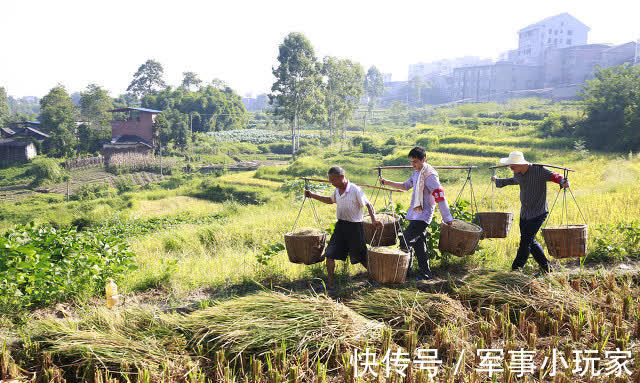 顺不顺|昨天七月二十九，俗语“顺不顺，就看七月二十九”，啥日子？