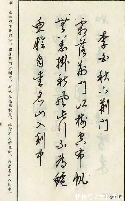 江南草木记.昙花!钢笔草书古诗词——经典老字帖,收藏慢慢练