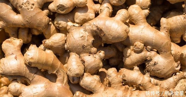怎么保存生姜不用放冰箱,教你3个好方法,生姜放一冬天都新鲜