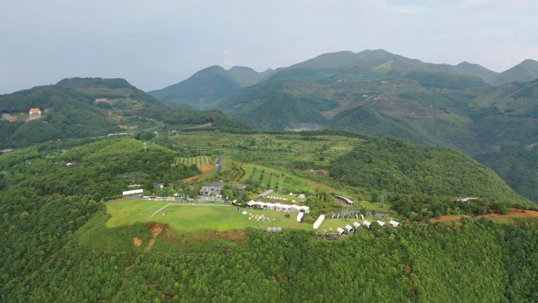 高山|小山村露营基地吹开“经济花”