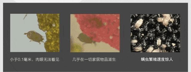 脸部|床上有没有螨虫,身体4个信号告诉你,除螨土办法,赶走床上螨虫