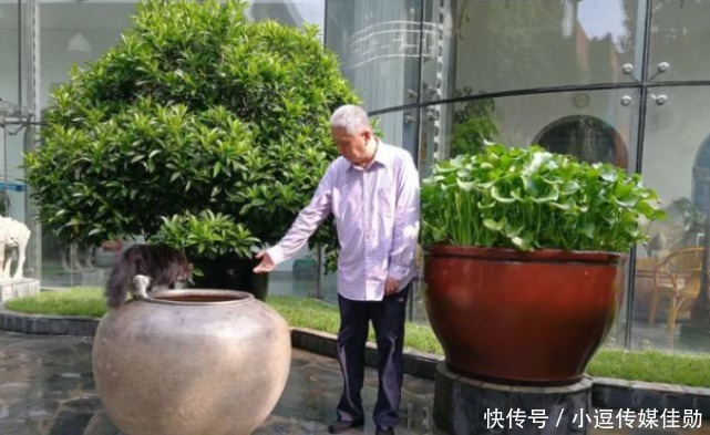  意见|司马光真砸过缸救过人？马未都提出不同意见，老师从不说后来的事