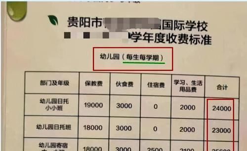 开销|一个孩子幼儿园的“收费单”火了，现在养一个孩子都费劲了