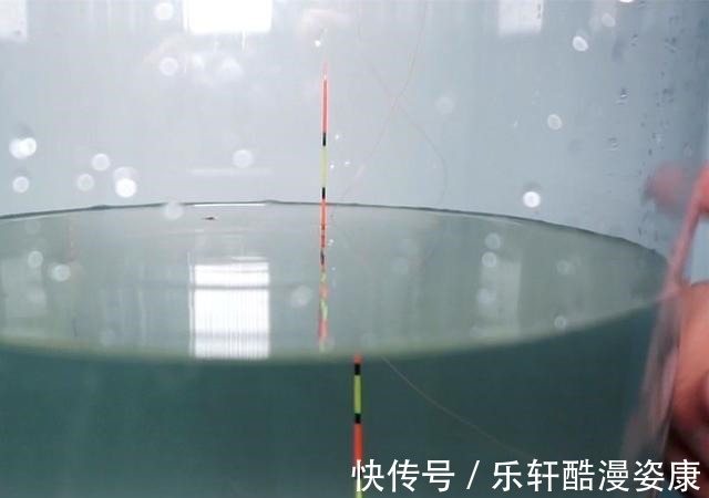 野钓鲤鱼用多大的浮漂一条公式轻松搞定，新手用过都说好