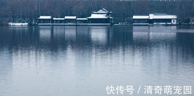 谢道蕴!白居易晚上被冻醒,写下一首夜雪诗,短短20个字,成为咏雪绝唱