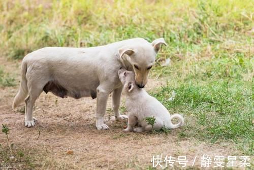 宝妈|“小婴儿，大心机？”科学表明婴儿哭闹求抱抱，其实不是在撒娇