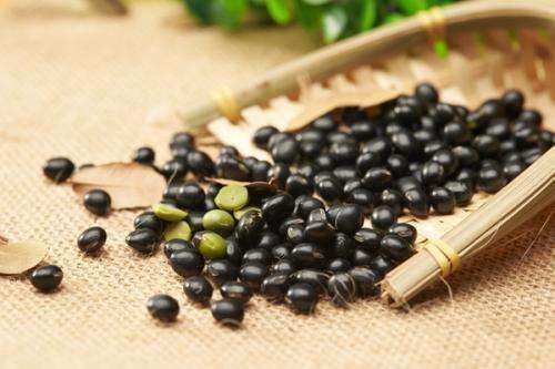 肾气足,百病除补肾离不开这5种食物,多吃可以助男性提升魅力