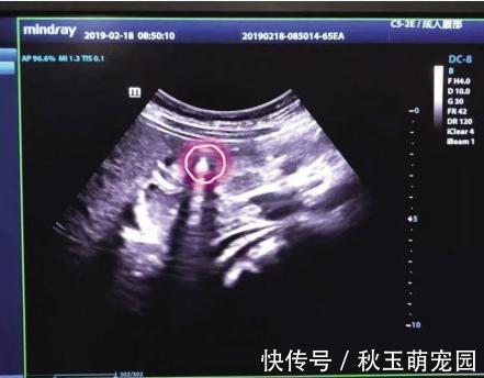 史莱姆|这6种玩具常见且好玩有趣,却对孩子有害,宝妈千万不要买