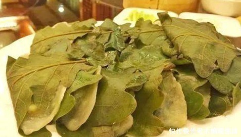 桲椤叶饼|这种树叶煮后香气四溢,包粽子一绝,出口国外我们都没有见过