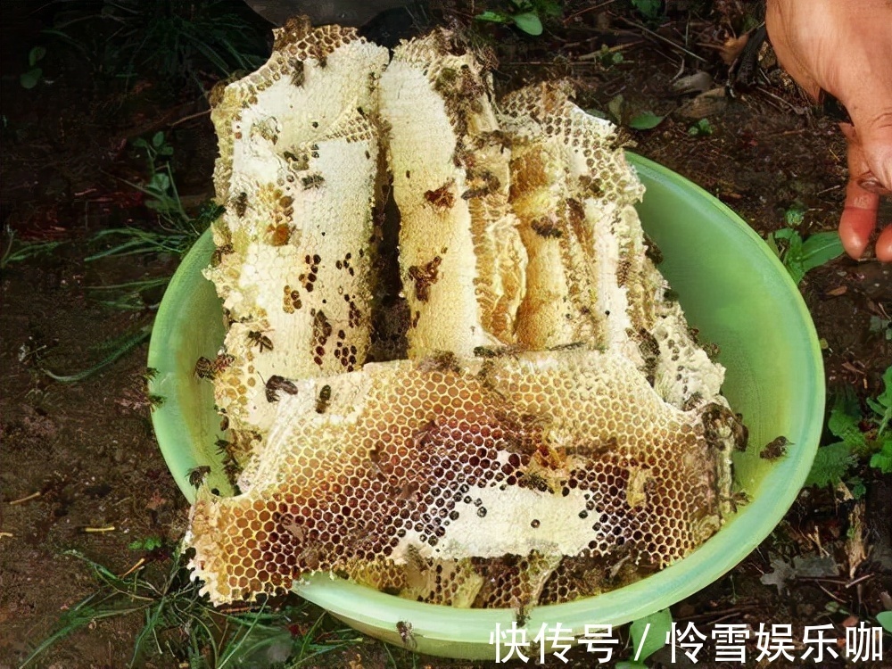 食物|女性想要身体好,推荐三种食物,排毒养颜,滋补身体,营养健康